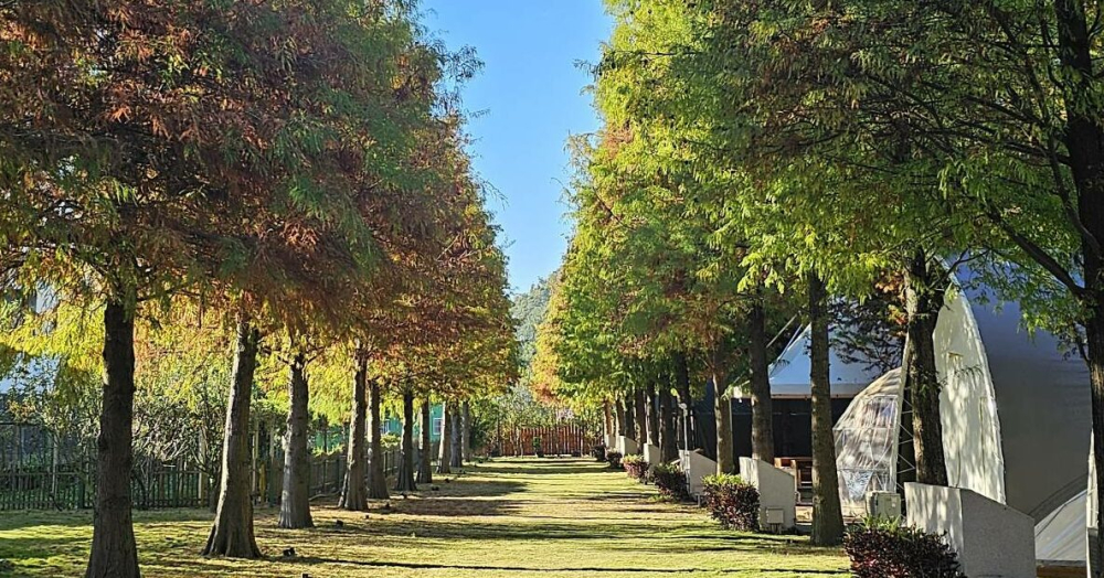 【小屋帳 - 二人房】可攜帶寵物入住