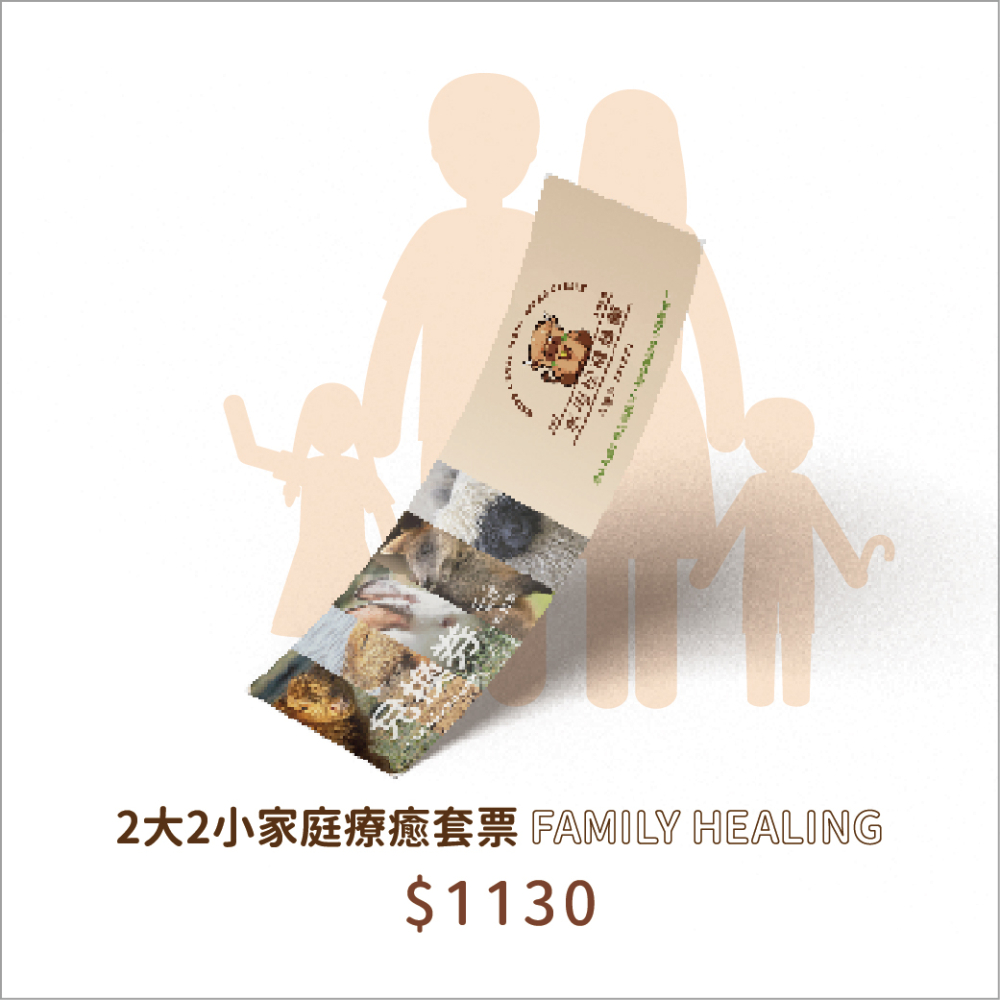 家庭套票方案（2大2小）